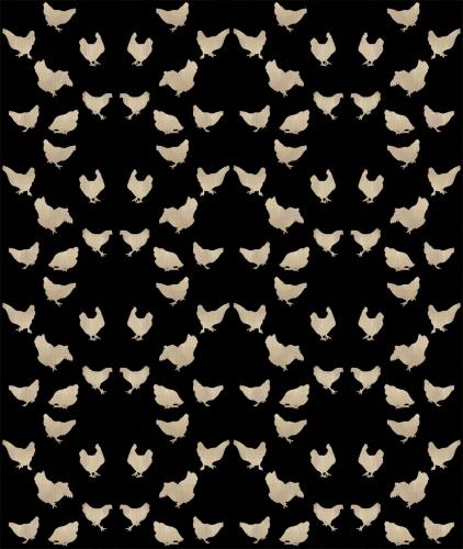 Golden Hens on Black   Animal painting, wildlife painter.Dogs, bears, elephants, bulls on canvas for art and decoration by Thierry Bisch 